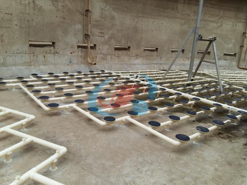 1627262094532750.jpg mmexport1582088570546.jpg